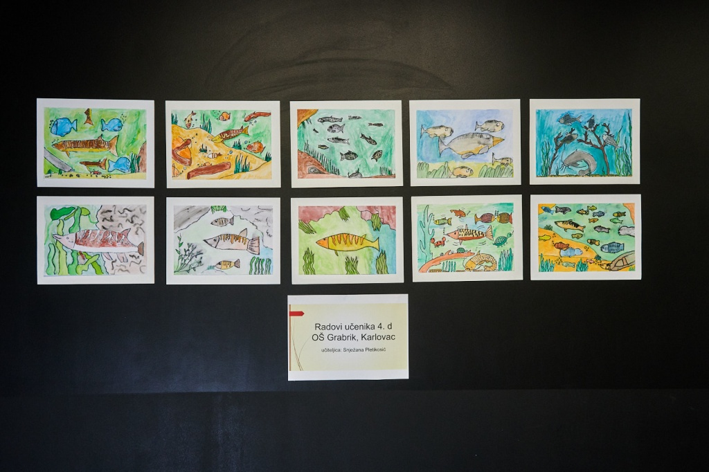 autor Denis Stošić nagrađeni radovi